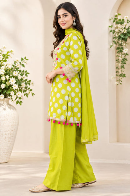 Party wear farsi salwar set